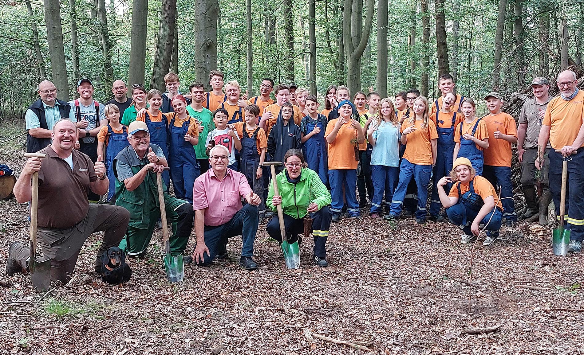 300 Küstentannen und Douglasien gepflanzt