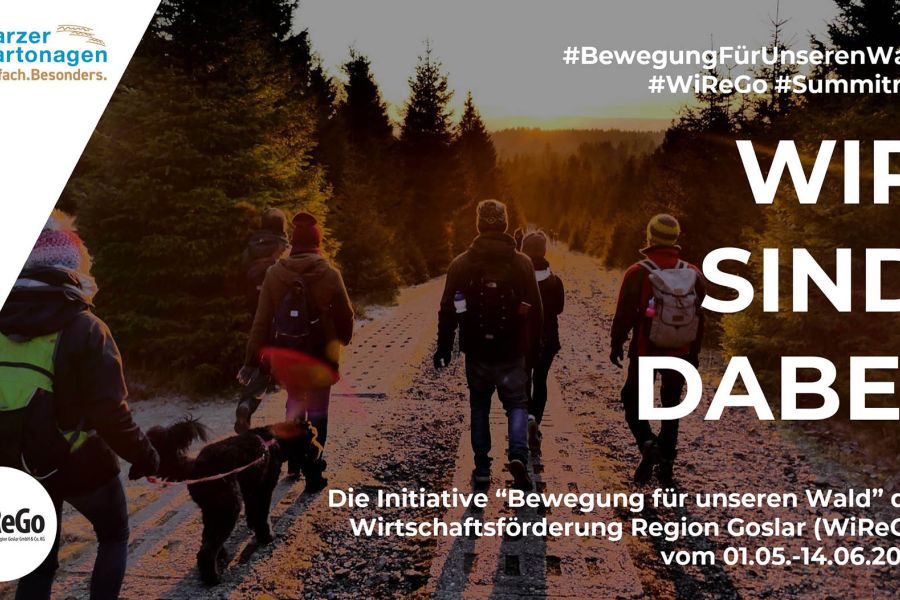 Harzer Kartonagenfabrik stärkt Engagement für die Umwelt durch Teilnahme an Aktion „Bewegung für unseren Wald“