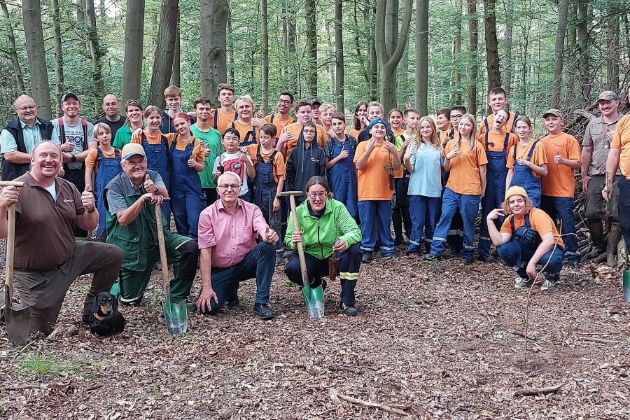 300 Küstentannen und Douglasien gepflanzt